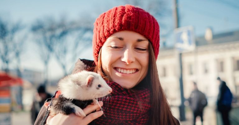 Daily Ferret Care Routine