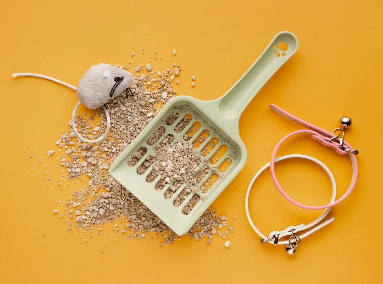 Ferret travel carrier setup